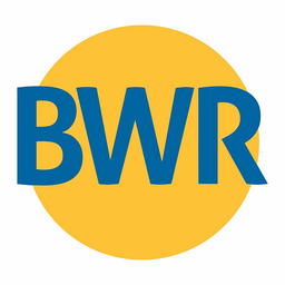 Bharat Wire Ropes Limited logo