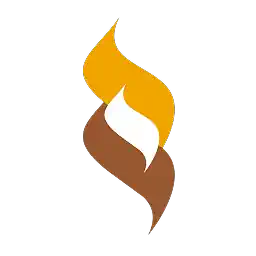 Rajputana Stainless Limited logo