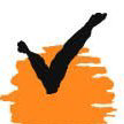 Virat Industries Ltd logo