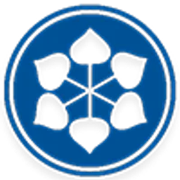 Shriram Pistons & Rings Limited logo