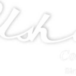Ushanti Colour logo