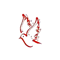 Varvee Global Limited logo