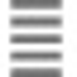 National Standard (India) Limited logo