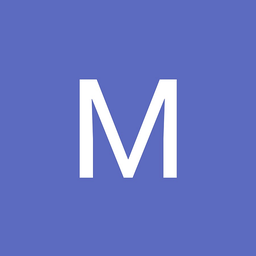Mirza International Limited logo