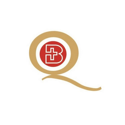 Bharat Parenterals Limited logo