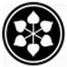 DCM Shriram Industries Limited logo