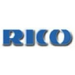 Rico Auto Industries Limited logo